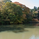 Castle moat