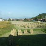 Scenery from train ride 10