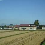 Scenery from train ride 12