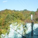 Scenery from train ride 5