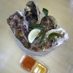Raw oysters