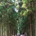 Path to Zuiganji's main hall