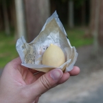 Sweet snack from Zuiganji shop