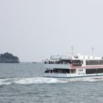 matsushima bay cruise and seagulls