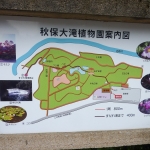 Map of the garden